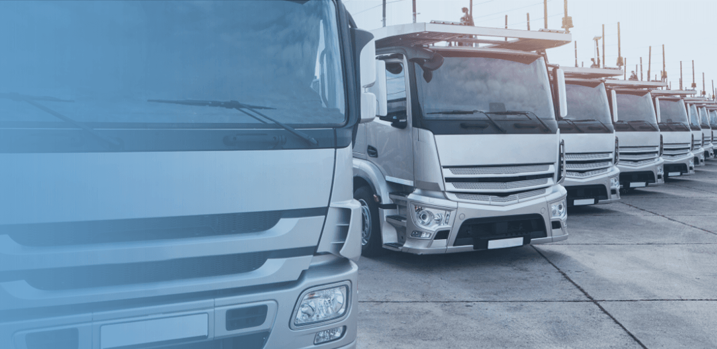 Transportes